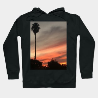 Palm tree Hoodie